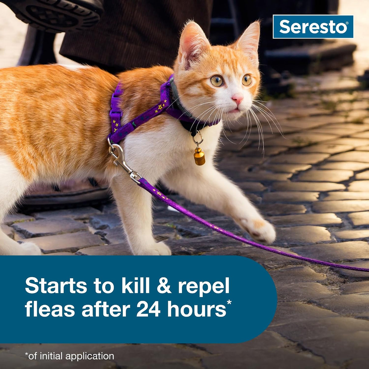Seresto Cat Vet-Recommended Flea & Tick Treatment & Prevention Collar for Cats, 8 Months Protection | (Pack of 2)
