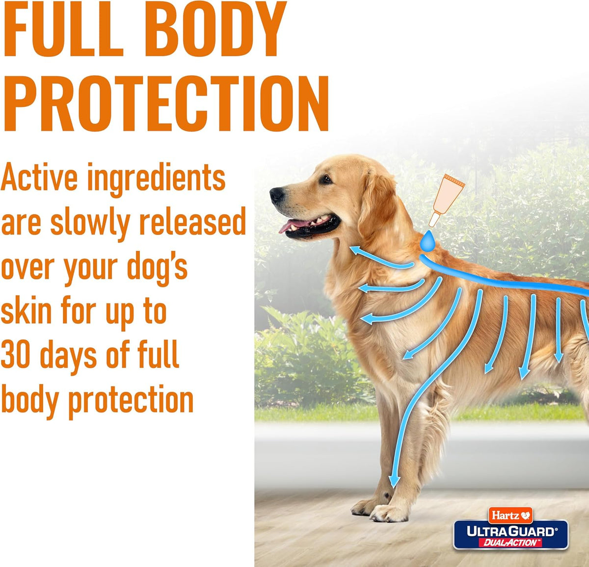 Hartz UltraGuard Dual Action Flea & Tick Topical Dogs & Puppies Treatment & Prevention, 6 Months, 60+ lbs