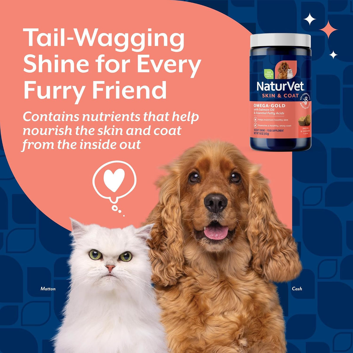 NaturVet – Omega-Gold Plus Salmon Oil | Supports Healthy Skin & Glossy Coat | Enhanced with DHA, EPA, Omega-3 & Omega-6 | for Dogs & Cats | 180 Soft Chews