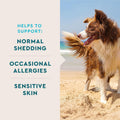 VetIQ Skin and Coat Supplement for Dogs, Helps Maintain Healthy Skin and Shiny Coat, Hickory Smoke Flavor Dog Chew, Made in the USA, 60 Count