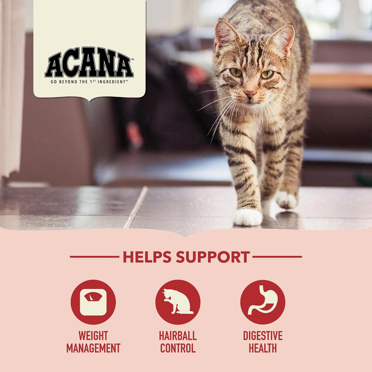 ACANA Dry Cat Food for Indoor Cats Indoor Entrée Chicken Turkey, 10lb Bag | Includes Probiotics, Digestive Health, Weight Management, Free-Run Poultry, World's Finest Ingredients