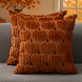 DFXSZ Fall Pillow Covers 18x18 2Pcs Rust Pumpkin Fall Decorations for Home | Fall decor Set of 2 Throw Pillow Cases Soft Plush Faux Fur Wool Couch Cushion for Chair Sofa Bedroom Living Room Home Decor