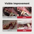JAYU PET Dental Care Brush with Soft Bristles 1ea
