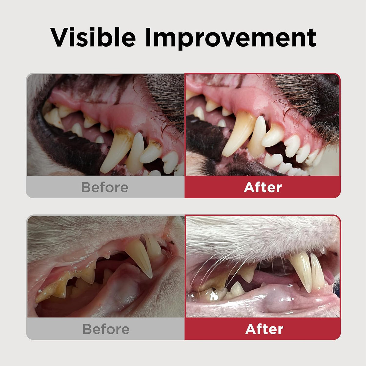 JAYU PET Dental Care Brush with Soft Bristles 1ea