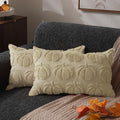 DFXSZ Fall Pillow Covers 18x18 2Pcs Rust Pumpkin Fall Decorations for Home | Fall decor Set of 2 Throw Pillow Cases Soft Plush Faux Fur Wool Couch Cushion for Chair Sofa Bedroom Living Room Home Decor