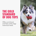 KONG Classic Stuffable Dog Toy - Fetch & Chew Toy for Dogs - Treat-Filling Capabilities & Erratic Bounce for Extended Play Time - Durable Natural Rubber Material - for Small Dogs