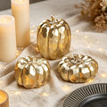 winemana Fall Decorations for Home Mini Pumpkins Gourds & Leaves Set