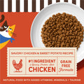 Merrick Purrfect Bistro Grain Free Chicken and Sweet Potato Recipe Natural Dry Cat Food for Adult Cats, High Protein, Outdoor or Indoor Cat Food - 12 lb. Bag