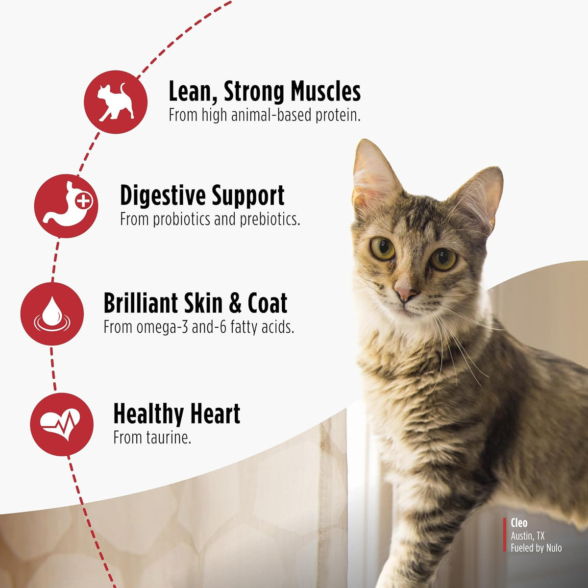 Nulo FreeStyle Dry Cat Food Indoor - Duck & Cod, High Protein Grain-Free Dry Cat Food, Natural Kibble with Probiotics and Omegas Fatty Acids, 14lb Bag