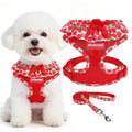 EXPAWLORER Step-in Dog Harness Small Sized Collar and Leash Set