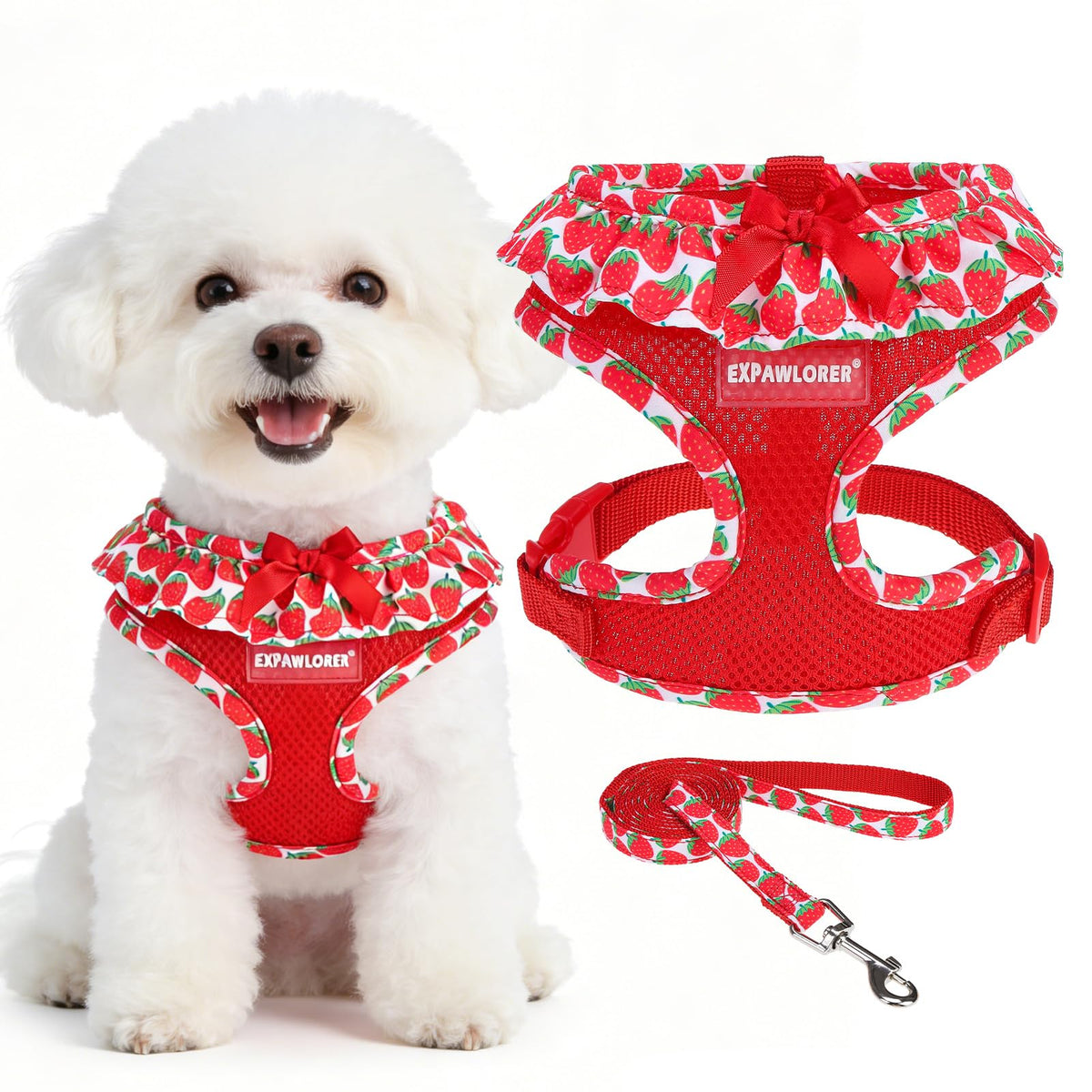 EXPAWLORER Step-in Dog Harness Small Sized Collar and Leash Set