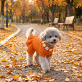 WOYYHO Small Dog Sweater Dress Checkerboard Knitted Princess Pet Dress