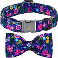 Fall Dog Collar with Bow, Black and Orange Print Fall Pet Collars Small