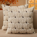 DFXSZ Fall Pillow Covers 18x18 2Pcs Rust Pumpkin Fall Decorations for Home | Fall decor Set of 2 Throw Pillow Cases Soft Plush Faux Fur Wool Couch Cushion for Chair Sofa Bedroom Living Room Home Decor
