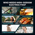 Venture Pal High Sodium Sugar Free Electrolytes Powder Packet, Zero Calories Hydration Packets with Vitamin, Sodium, Potassium & Magnesium, Electrolyte Drink Mix, Vegan, Keto Friendly, 16 Count