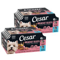 Cesar Wet Dog Food Classic Loaf in Sauce Grilled Chicken, Filet Mignon, Porterhouse Steak, Beef, Chicken & Liver and Turkey Variety Pack 3.5 oz. Easy Peel Trays (36 Count, Pack of 1)