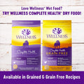 Wellness Complete Health Pate Variety Pack Adult Canned Wet Dog Food, Wholesome Grains, Natural, 12.5 oz, Pack of 6 Cans