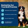 Blue Buffalo Life Protection Formula Lamb & Brown Rice Adult Dry Dog Food, Supports Immunity with Antioxidant-Rich LifeSource Bits, Promotes Healthy Muscle Development, Skin & Coat Health, 15 lbs.
