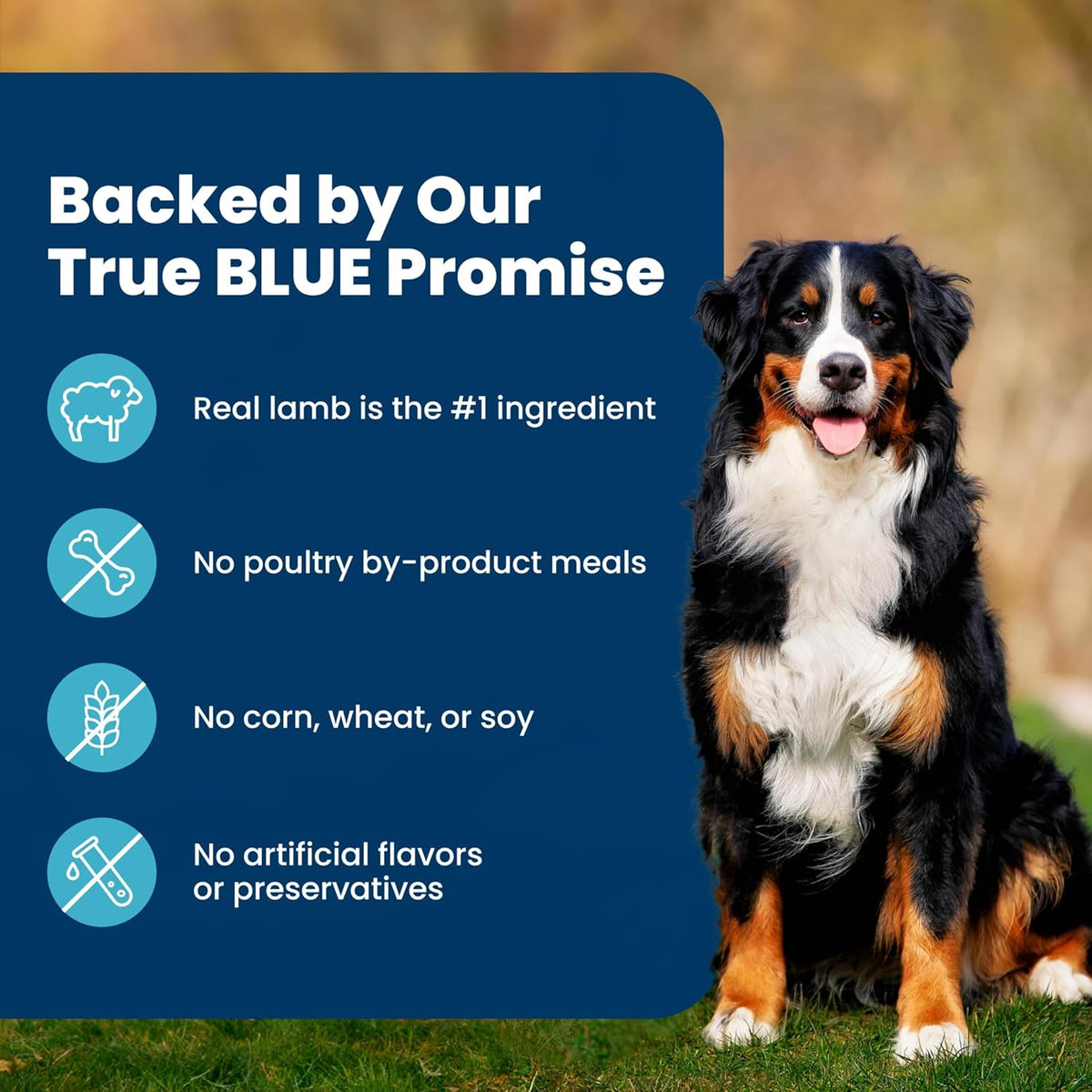 Blue Buffalo Life Protection Formula Lamb & Brown Rice Adult Dry Dog Food, Supports Immunity with Antioxidant-Rich LifeSource Bits, Promotes Healthy Muscle Development, Skin & Coat Health, 15 lbs.