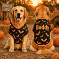 Personalized Halloween Dog Shirt, Custom Pet Shirt with Name, Pumpkin Bat Spider Web Dog Costume