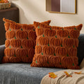 DFXSZ Fall Pillow Covers 18x18 2Pcs Rust Pumpkin Fall Decorations for Home | Fall decor Set of 2 Throw Pillow Cases Soft Plush Faux Fur Wool Couch Cushion for Chair Sofa Bedroom Living Room Home Decor