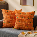 DFXSZ Fall Pillow Covers 18x18 2Pcs Rust Pumpkin Fall Decorations for Home | Fall decor Set of 2 Throw Pillow Cases Soft Plush Faux Fur Wool Couch Cushion for Chair Sofa Bedroom Living Room Home Decor