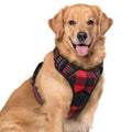 rabbitgoo Dog Harness No Pull with 2 Leash Clips, Adjustable Soft Padded, Reflective Oxford No Choke Pet Vest with Easy Control Handle for Medium Sized Dogs, Black, M