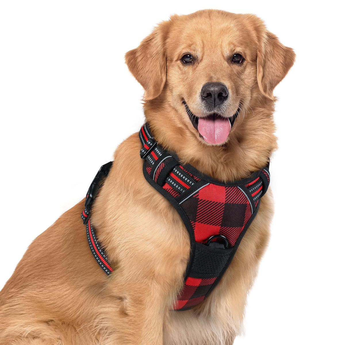 rabbitgoo Dog Harness No Pull with 2 Leash Clips, Adjustable Soft Padded, Reflective Oxford No Choke Pet Vest with Easy Control Handle for Medium Sized Dogs, Black, M