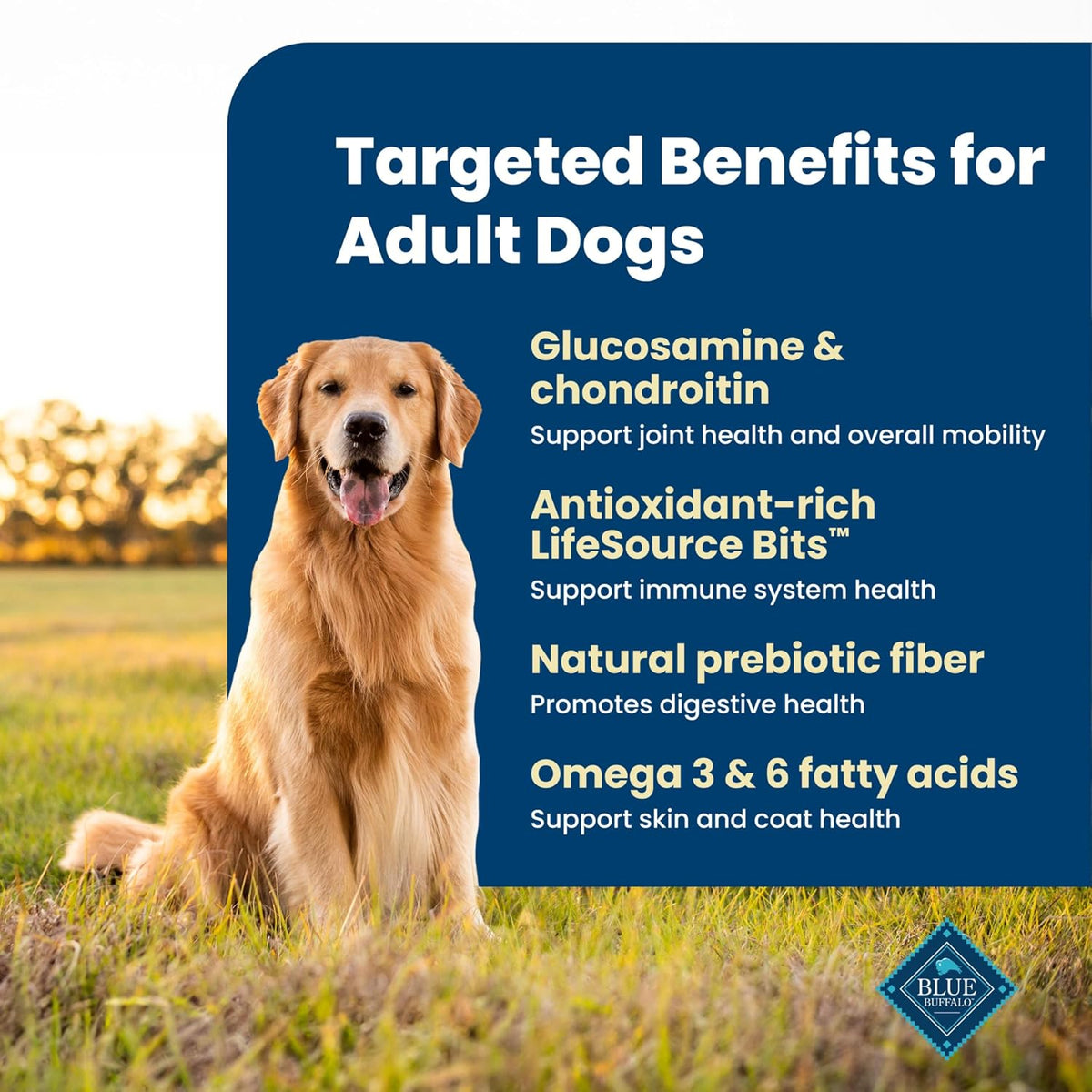 Blue Buffalo Life Protection Formula Lamb & Brown Rice Adult Dry Dog Food, Supports Immunity with Antioxidant-Rich LifeSource Bits, Promotes Healthy Muscle Development, Skin & Coat Health, 15 lbs.
