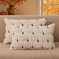 DFXSZ Fall Pillow Covers 18x18 2Pcs Rust Pumpkin Fall Decorations for Home | Fall decor Set of 2 Throw Pillow Cases Soft Plush Faux Fur Wool Couch Cushion for Chair Sofa Bedroom Living Room Home Decor