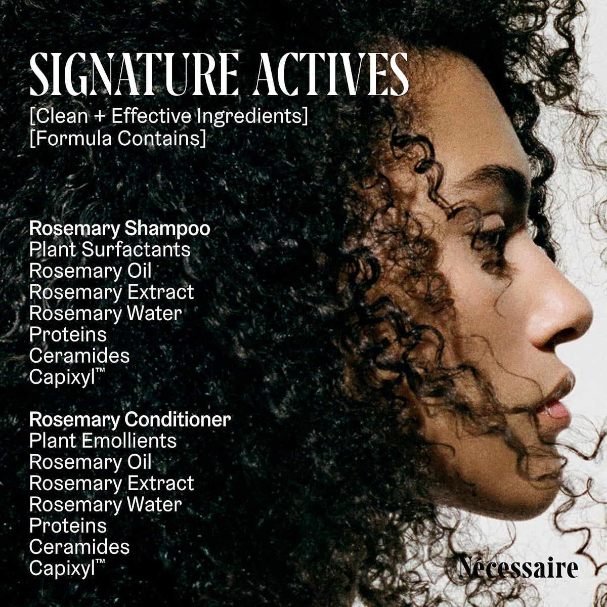 Rosemary Hair Duo. Rosemary Shampoo and Conditioner Set. Multi-Protein | For Women & Men. Sulfate-Free, Color-Safe Formula. 2 x 250ml / 8.4 fl oz.