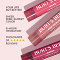 Burts Bees Tinted Lip Balm Value Pack, Includes Red Dahlia, Daisy and Rose, 8 Hour Moisture, Provides a Hint of Color, Nourishing Shea Butter, 100 Percent Natural Origin, 0.15 oz., Three Tubes