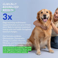 Multivitamin for Dogs 120 Tablets - Glucosamine, Fish Oil & CoQ10 | With Glucosamine, Chondroitin, Fish Oil & CoQ10. Supports joint, skin, heart, gut & immune health.