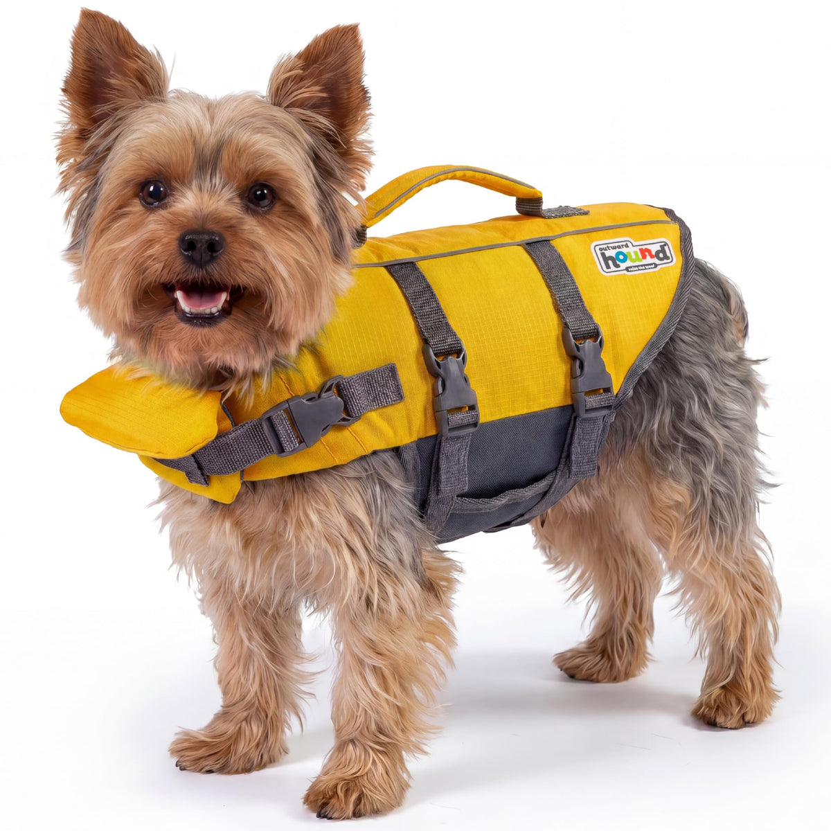 Outward Hound Granby Splash Orange Dog Life Jacket, Medium