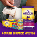 Wellness Complete Health Pate Variety Pack Adult Canned Wet Cat Food, Natural, Protein Rich, Grain Free, Seafood Favorites, 3 oz, Pack of 24 Cans