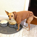Soft Dog Hoodies for Small Dogs, Warm Fleece Puppy Clothes with Pocket