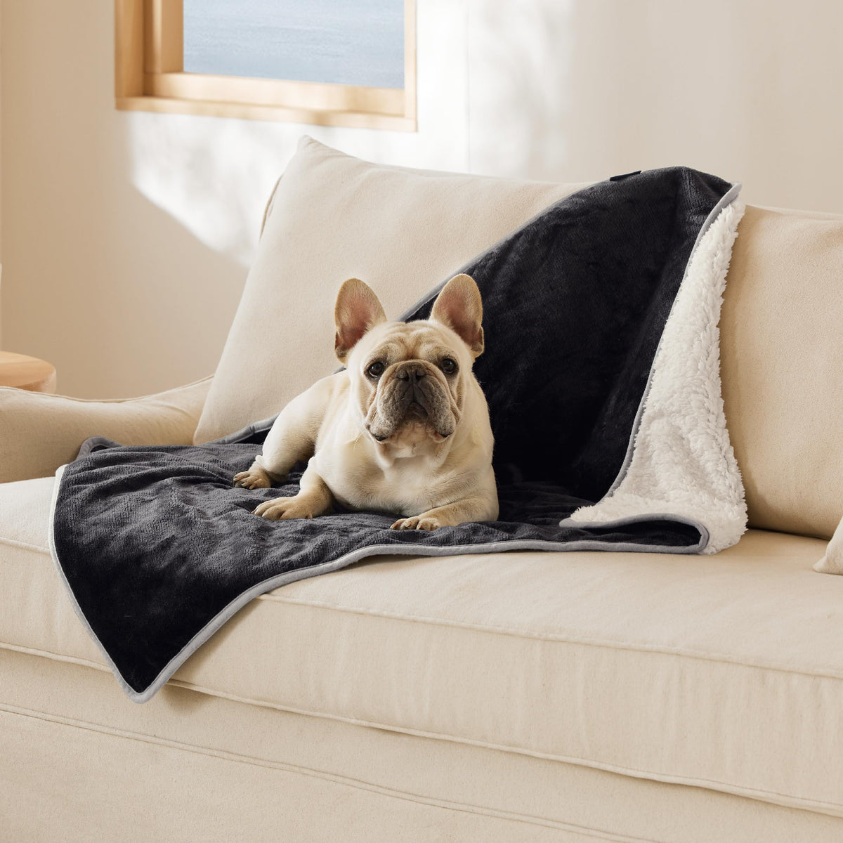Bedsure Waterproof Dog Blankets for Small Dogs Soft Cat Blanket Warm,25X35