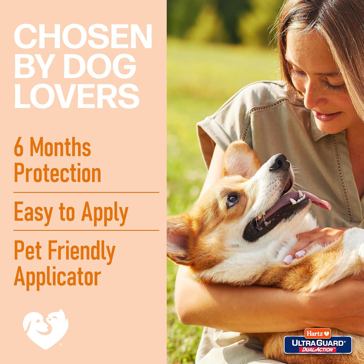 Hartz UltraGuard Dual Action Flea & Tick Topical Dogs & Puppies Treatment & Prevention, 6 Months, 60+ lbs