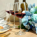 SHYRC Wine Glasses Set of 6, 12oz Clear Red/White Wine Glasses, Long Stem Glasses for Party, Wedding and Home