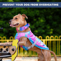 Spark Paws Dog Cooling Vest - SPF 50 UV Sun Protection - Summer Heat Relief Gear for Dogs, Lightweight, Evaporative Cooling - Dog Anxiety Relief Vest During Hot Days - Snowcone, XL