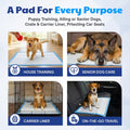 American Kennel Club Scented Puppy Training Pads with Ultra Absorbent Quick Dry Gel – 28 x 30 Pee Pads for Dogs - Fresh Scented - 50 Count, XL