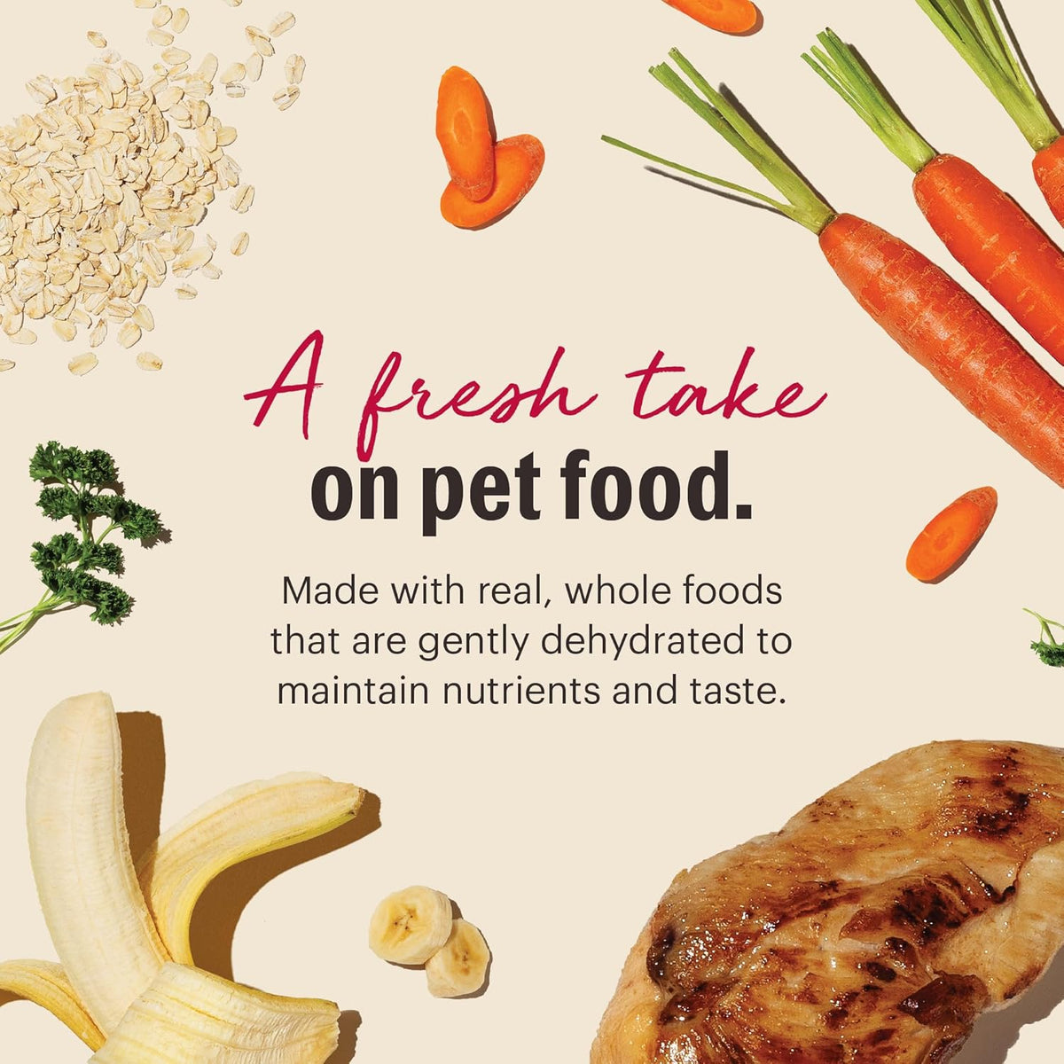 The Honest Kitchen Human Grade Wholemade™ Dehydrated Whole Grain Dog Food - Complete & Balanced Meal or Topper - Chicken, 10 Pound (makes 40 Pounds)