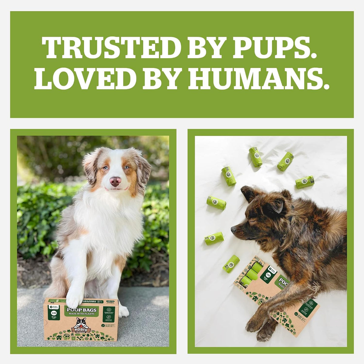 Pogi's Compostable Poop Bags – Leak-Proof, Extra-Large, Made with Plants – 18 Rolls (270 Bags)