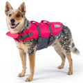 Outward Hound Granby Splash Orange Dog Life Jacket, Medium