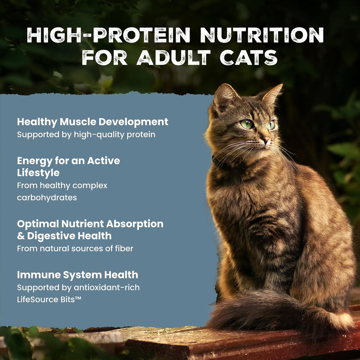 Blue Buffalo Wilderness with Chicken Natural High-Protein Grain-Free Dry Food for Adult Cats, Real Chicken First, Antioxidant-Rich LifeSource Bits Support Immunity, Promotes Strong Muscles, 12 lbs.
