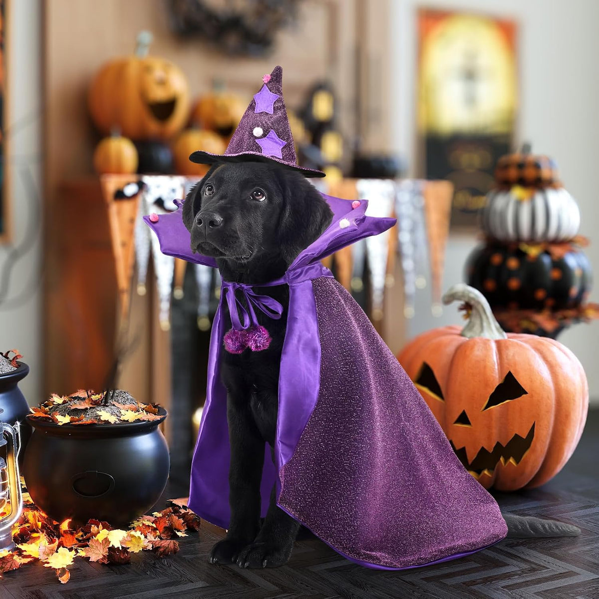 Halloween Dog Costume Dog Witch Cape Witch Hat Set Pet Wizard Cloak Vampire Devil Outfit Puppy Cat Halloween Cloak Devil Clothes Outfit Apparel Cosplay for Small Medium Large Dogs 2Pcs XL