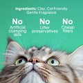 Boxie Premium Scented Clumping Cat Litter 30+ Day Odor Control 16 lb