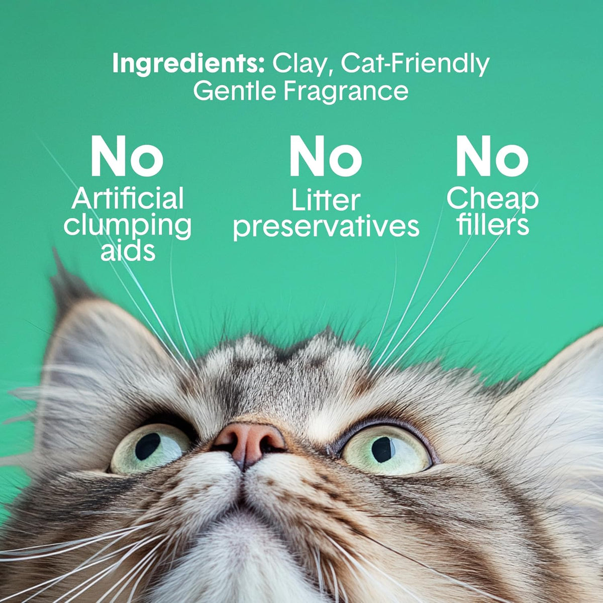 Boxie Premium Scented Clumping Cat Litter 30+ Day Odor Control 16 lb