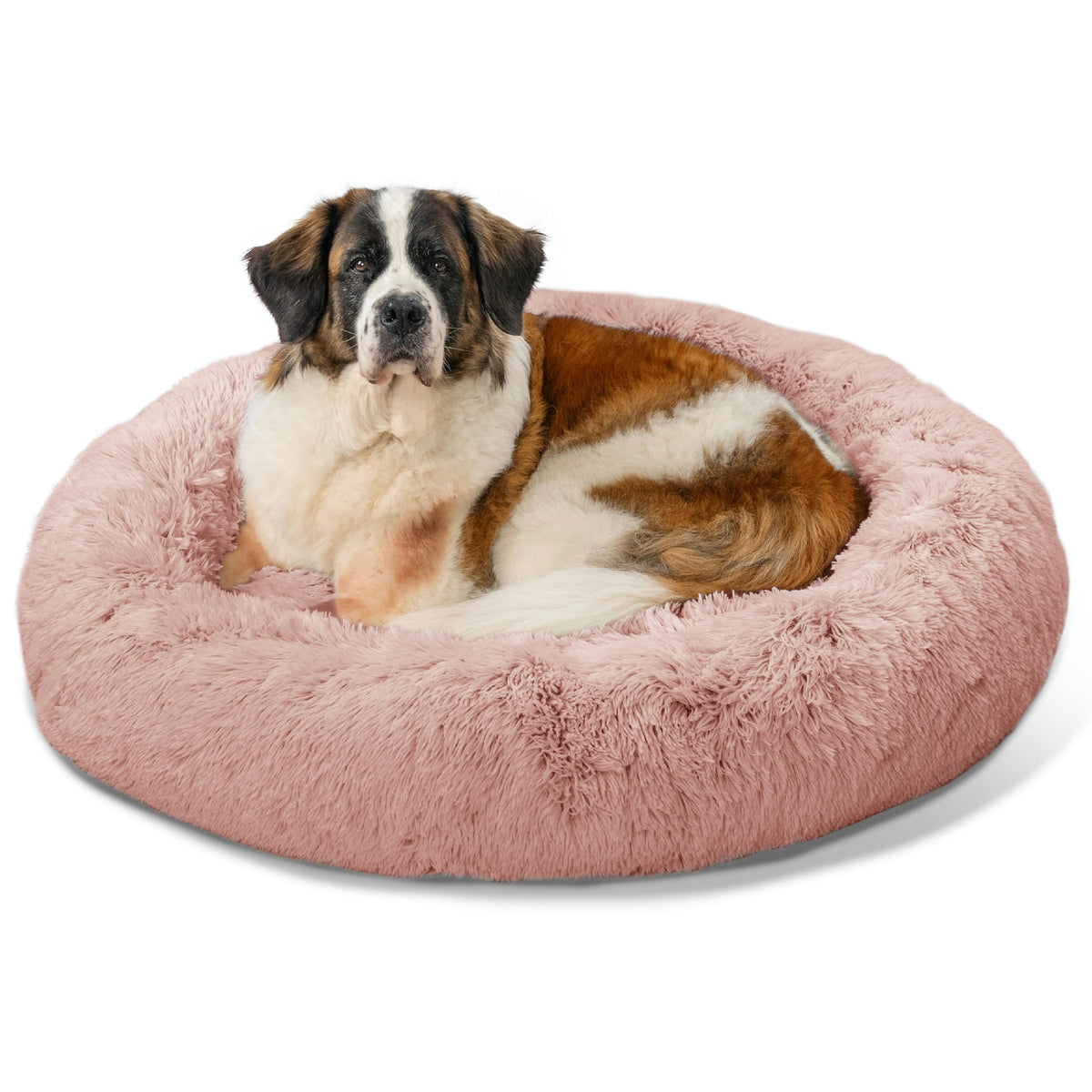 Best Friends by Sheri The Original Calming Donut Dog Bed for Large Dogs up to 100 lbs, Shag Faux Fur, Taupe, Large, 36" x 36"