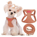 Puppytie xs Dog Harness with Multifunction Dog Leash,Soft Adjustable No Choke Escape Proof Pet Harness Vest,red-Camellia,XS